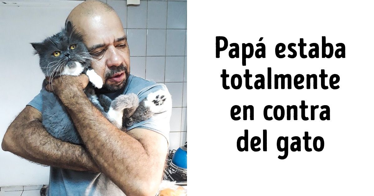 29 Fotos que cuentan toda la verdad sobre la relación entre las personas y sus mascotas