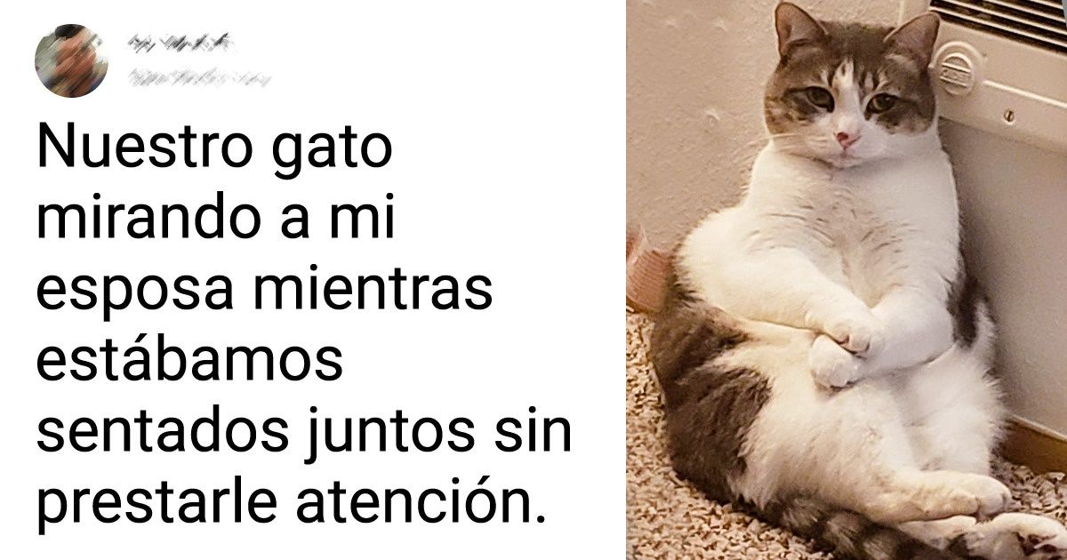 16 Usuarios de Reddit que siempre tienen una foto genial para publicar gracias a sus preciosas mascotas 16 Usuarios de Reddit que siempre tienen una foto genial para publicar gracias a sus preciosas mascotas