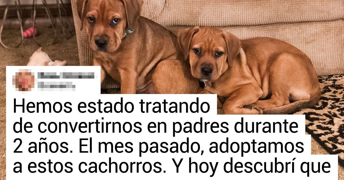 17 Fotos potentes que hacen que el corazón comience a latir más rápido 17 Fotos potentes que hacen que el corazón comience a latir más rápido