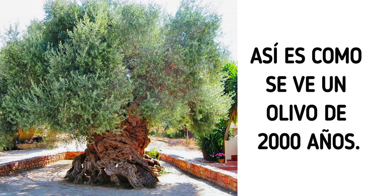 20 Fascinantes imágenes de la naturaleza que no esperábamos ver 20 Fascinantes imágenes de la naturaleza que no esperábamos ver