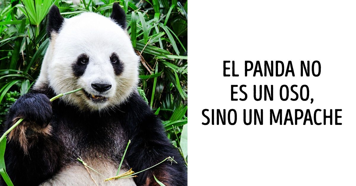 23 Hechos sobre el mundo que te harán quedar como un verdadero erudito