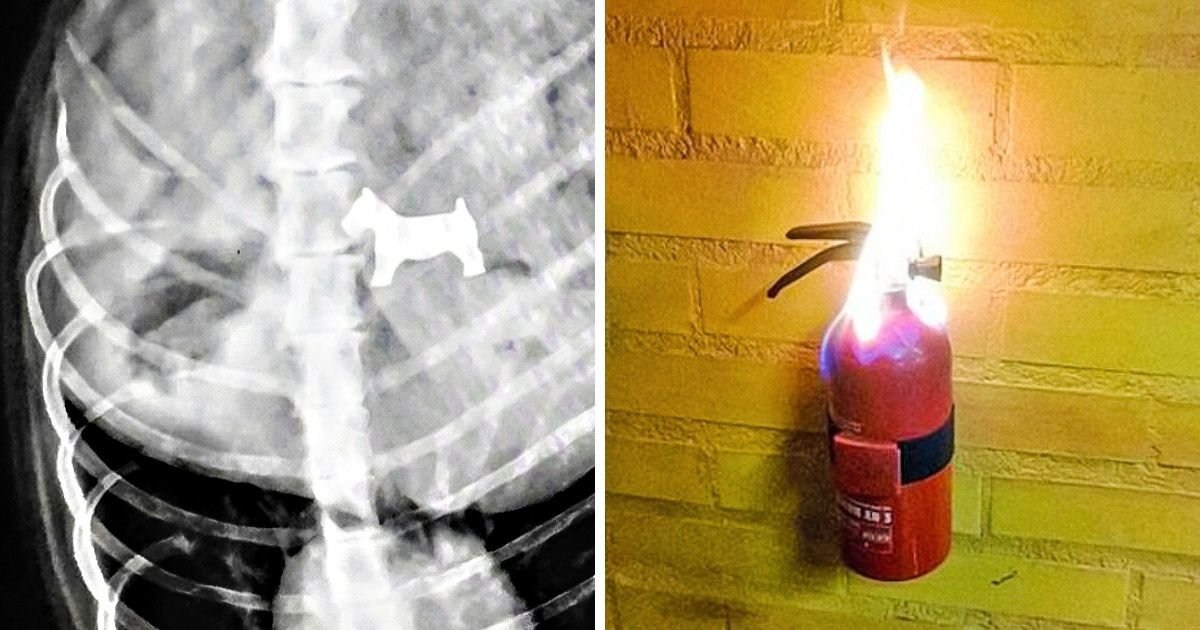 18 Imágenes que resumen lo que es la ironía