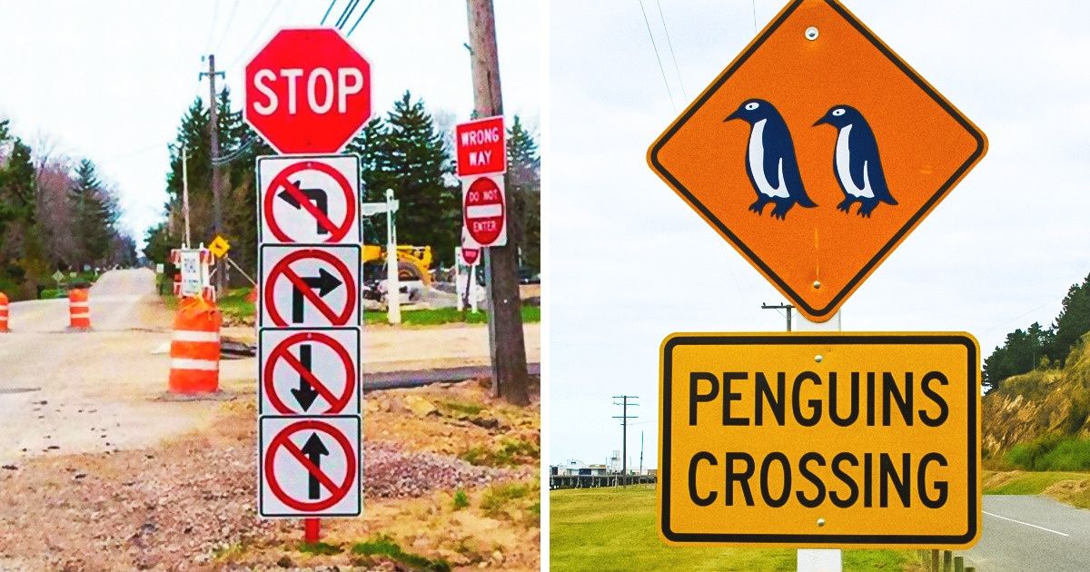 25+ Señales de tránsito que no tienen ningún sentido para la gente normal