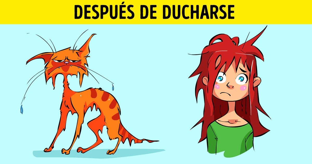 11 Pruebas de que las mujeres y los gatos vienen del mismo planeta