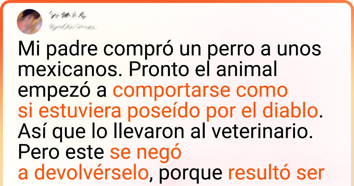 18 Tuits sobre personas que de repente supieron que vivían en un programa de humor 18 Tuits sobre personas que de repente supieron que vivían en un programa de humor