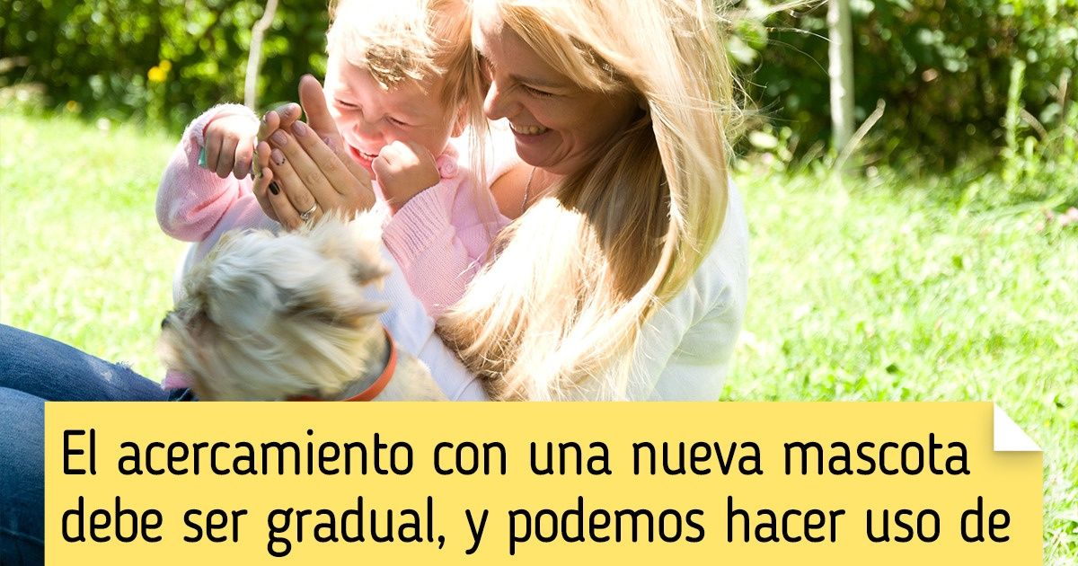Cómo preparar a nuestros hijos para la llegada de un nuevo amigo peludo Cómo preparar a nuestros hijos para la llegada de un nuevo amigo peludo