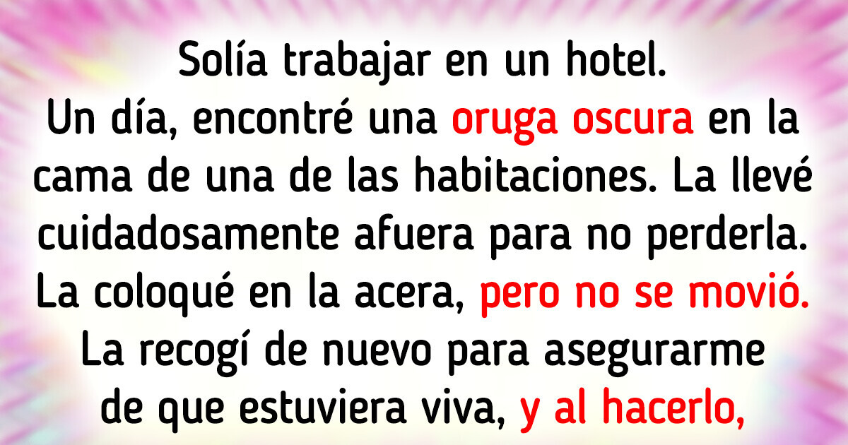 8 Empleados de hotel revelan los descubrimientos más extraños en habitaciones de huéspedes
