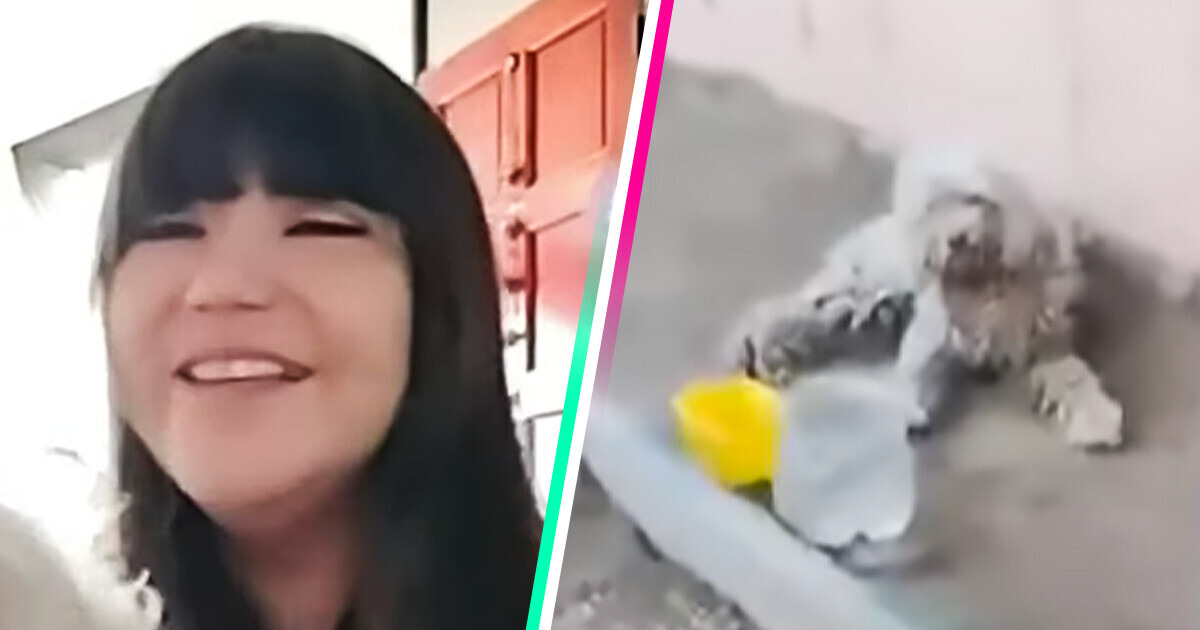 Tras 5 años buscando a su perro perdido, lo recupera de forma inesperada Tras 5 años buscando a su perro perdido, lo recupera de forma inesperada