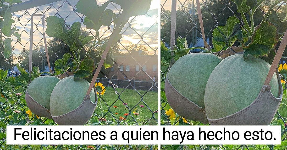 16 Personas que no dejaron que un problema se interpusiera en su camino