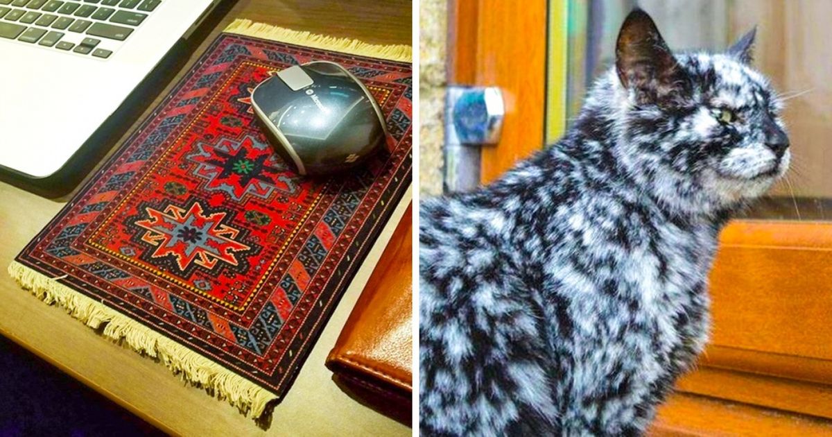 26 Fotos que cambiarán tu punto de vista sobre lo cotidiano