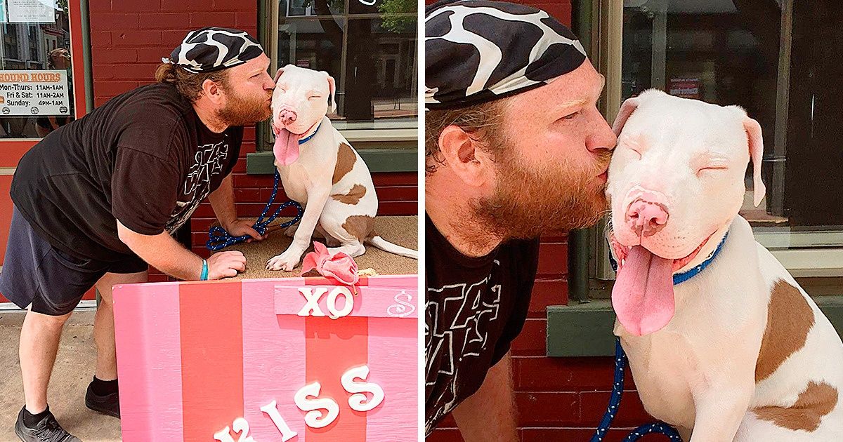 23 Fotografías de animales que no te dejarán estar triste