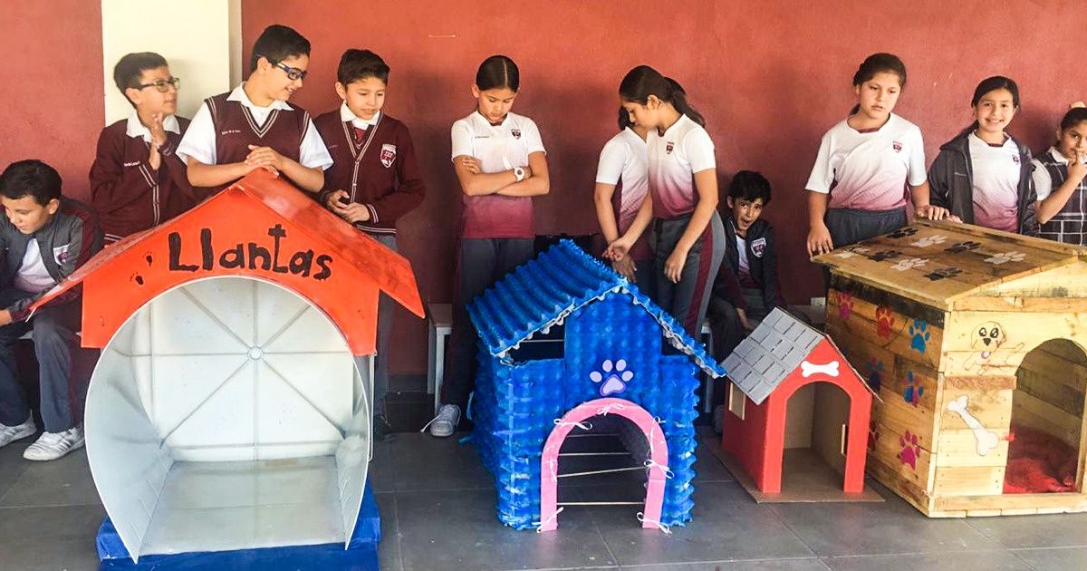 Niños mexicanos construyeron casitas para perros de la calle con materiales  reciclados, y el mundo entero está aplaudiéndolos / Genial