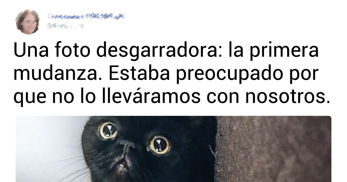 20 Esponjosos que rompieron nuestro corazón como el primer amor 20 Esponjosos que rompieron nuestro corazón como el primer amor