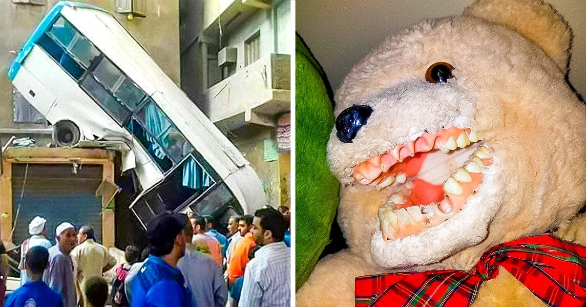 21 Fotos que son difíciles de ver y mantenerse serio