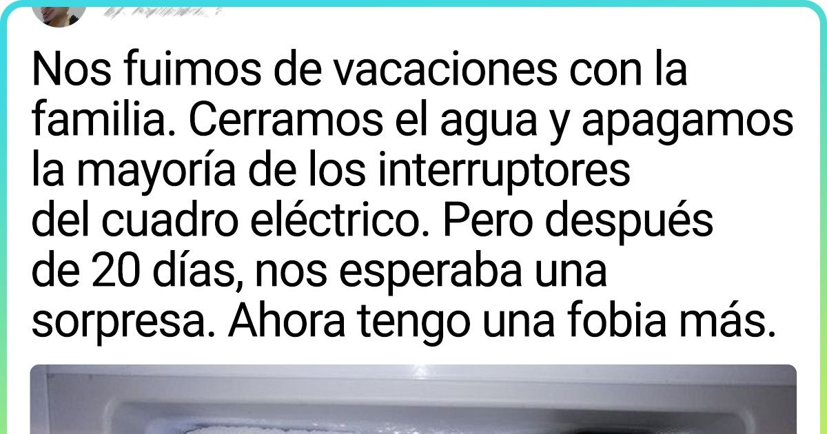 16 Personas que regresaron de vacaciones con unas historias que se podrían contar como chistes 16 Personas que regresaron de vacaciones con unas historias que se podrían contar como chistes