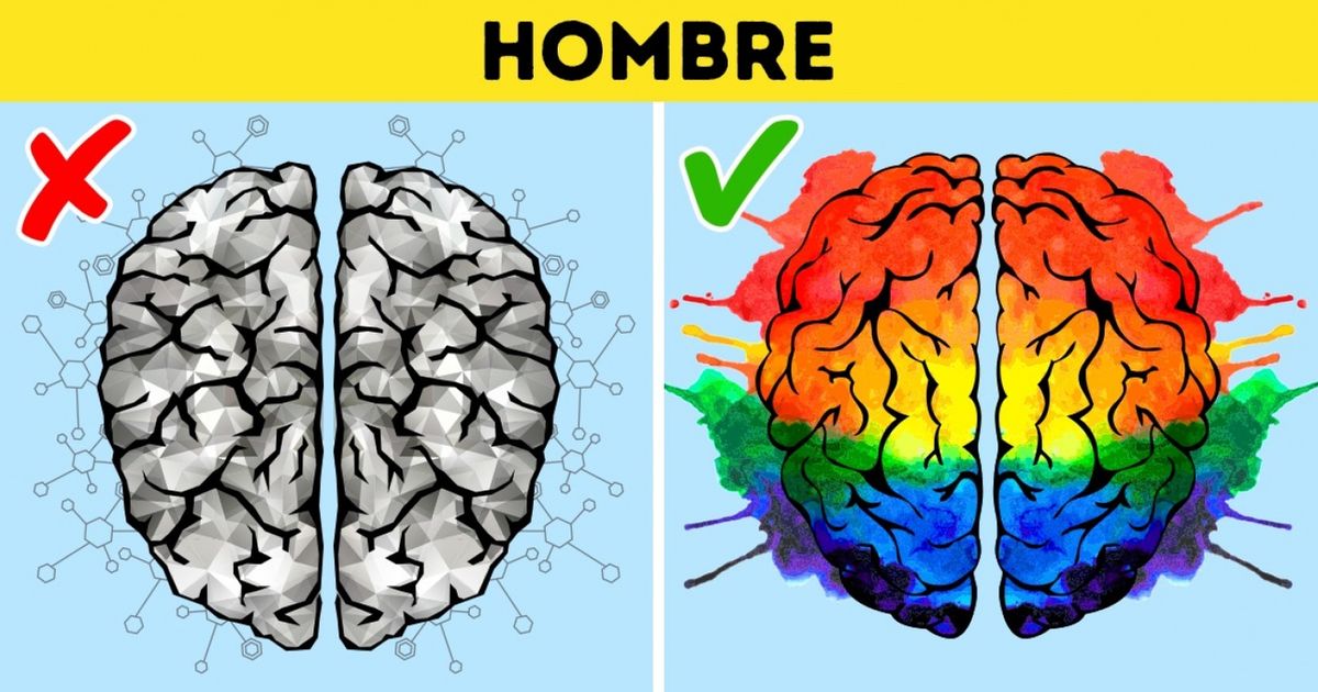 5 Datos científicamente comprobados sobre el cerebro femenino y el masculino, y ciertos estereotipos que ya es hora de olvidar 5 Datos científicamente comprobados sobre el cerebro femenino y el masculino, y ciertos estereotipos que ya es hora de olvidar