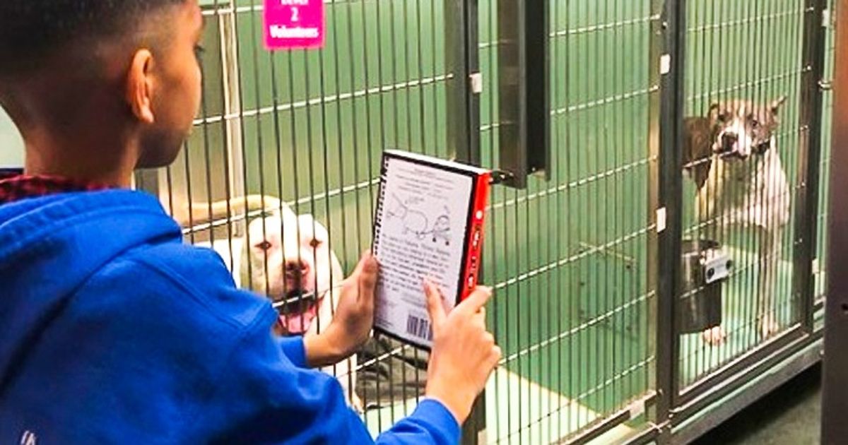 Tiene 10 años y nos contó por qué le gusta leerles a los perritos de un refugio mientras esperan ser adoptados