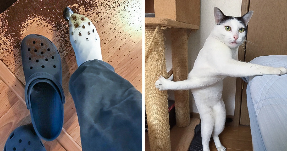 20 Veces en que los problemas llamaron a la puerta cuando menos los esperaban