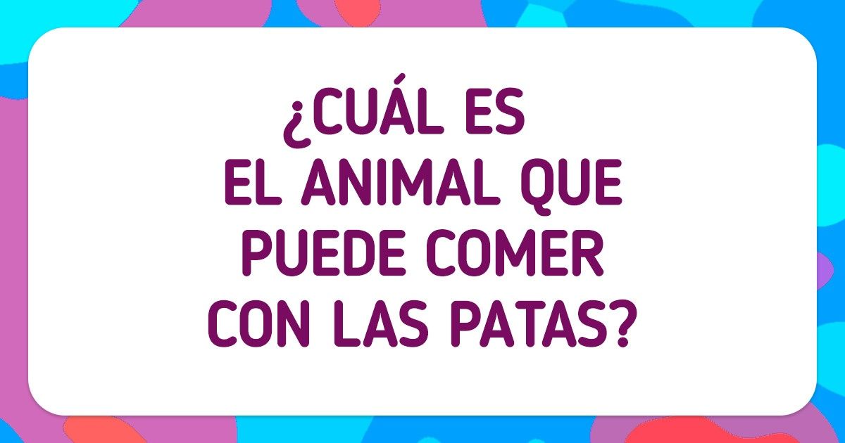 Test: Resuelve estas 15 adivinanzas para probar que eres un gran adivinador