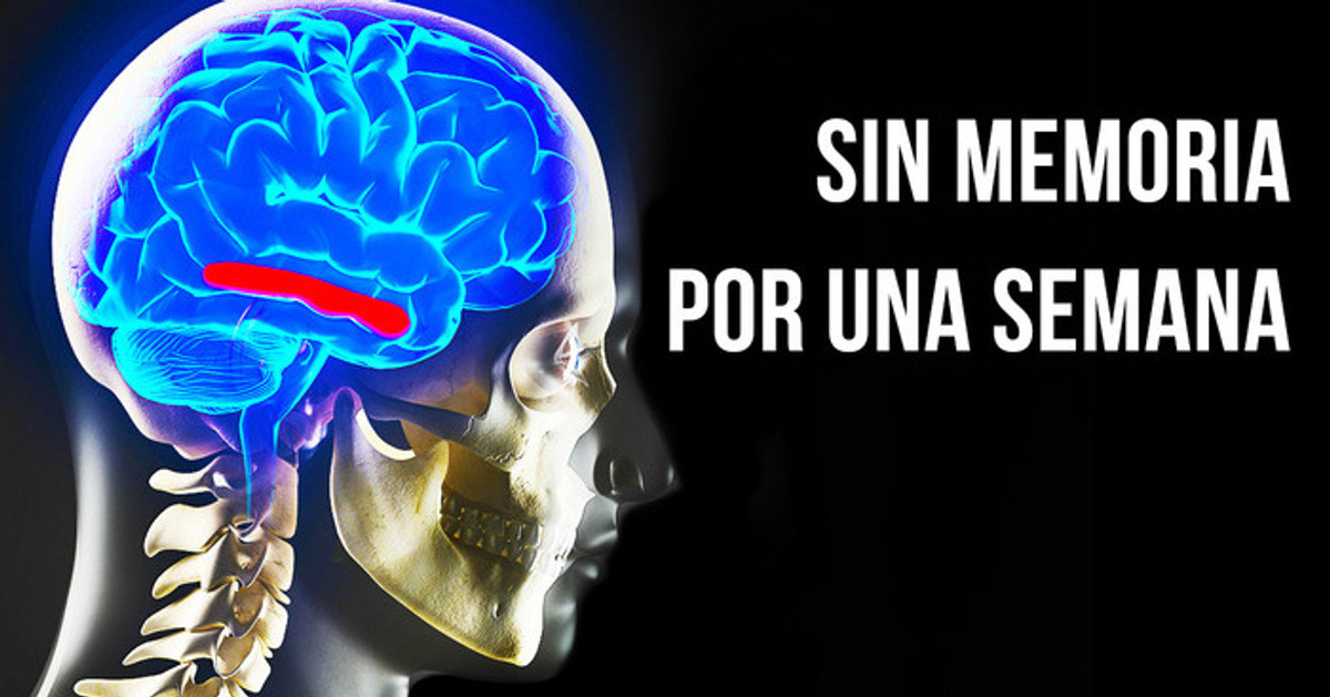 Qué pasaría si las 8000 millones de personas perdieran la memoria a la vez
