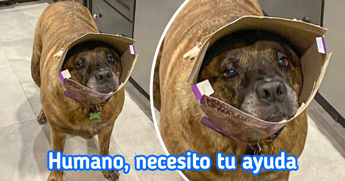 15 Fotos que nos sacaron una sonrisa en una fracción de segundo