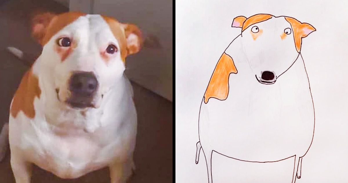 Hombre retrata mascotas para recaudar dinero a beneficio (el detalle es que no es dibujante) Hombre retrata mascotas para recaudar dinero a beneficio (el detalle es que no es dibujante)