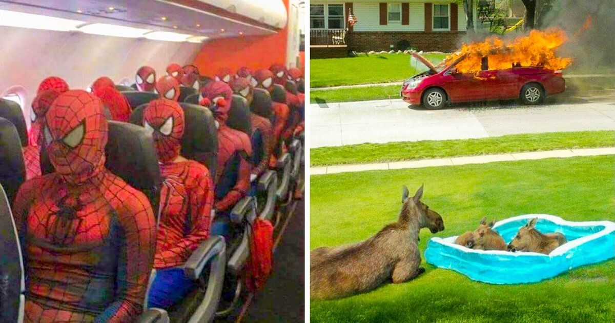 20 Fotos que solo podrás explicar si usas tu imaginación