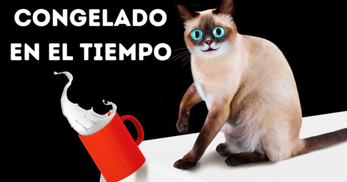 ¿Qué pasaría si cada segundo durara una hora?