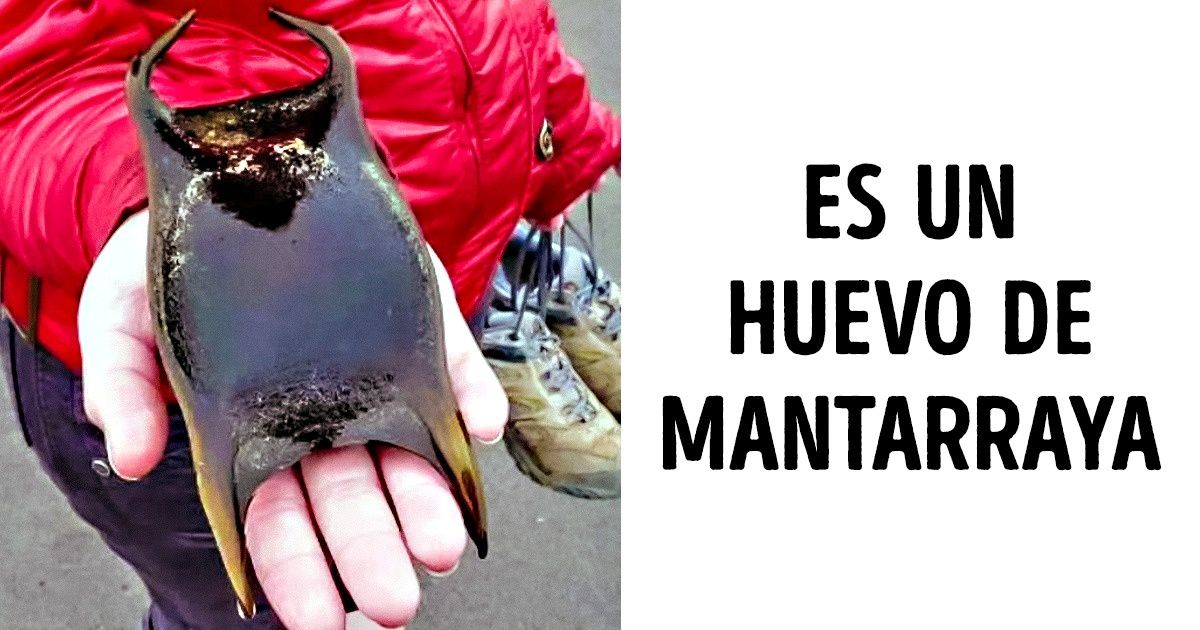 15 Fenómenos raros con los que solo se topa una persona de un millón