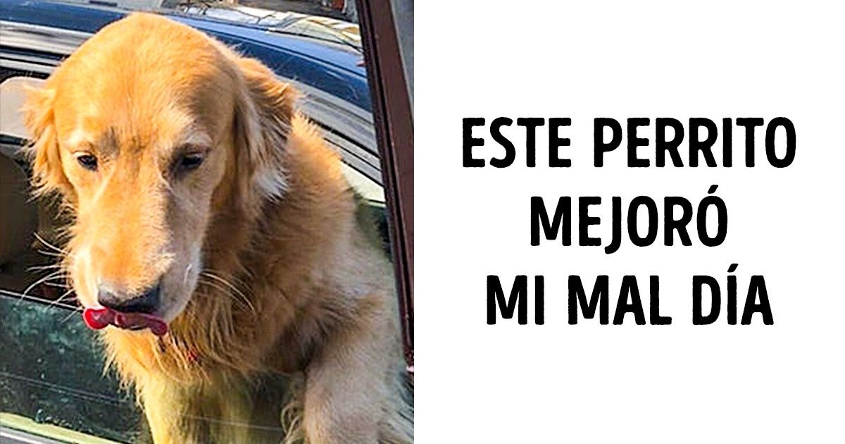 18 Personas mostraron qué fue lo que les ayudó a sentirse mejor en un día malo