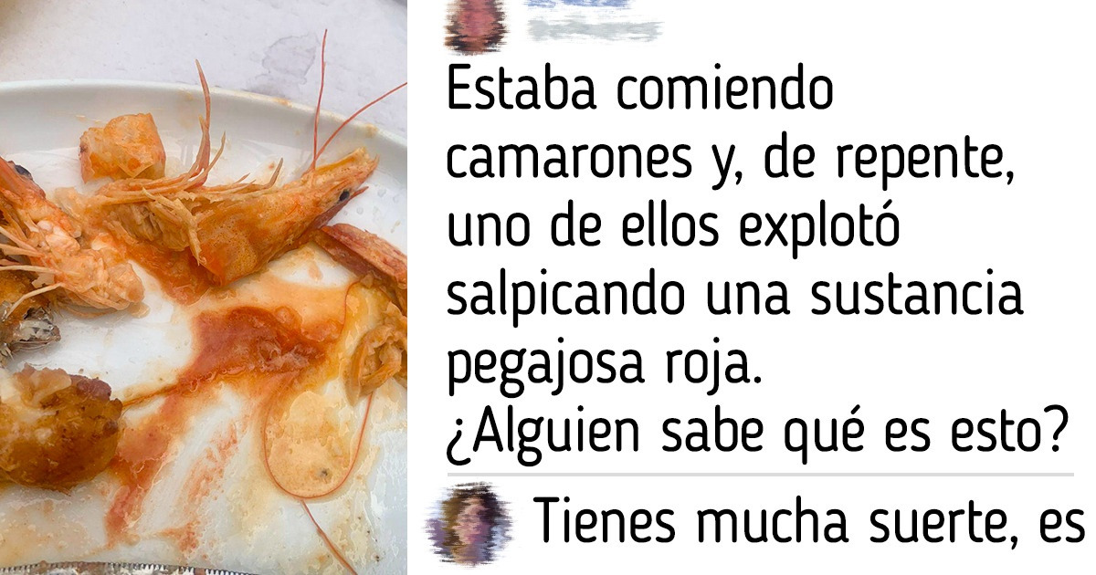 19 Personas que solo salieron a comer, pero se llevaron un montón de impresiones