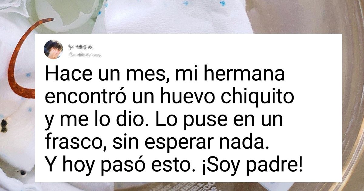 19 Ocasiones en las que un encuentro con animales resultó ser tan repentino como nieve en verano 19 Ocasiones en las que un encuentro con animales resultó ser tan repentino como nieve en verano