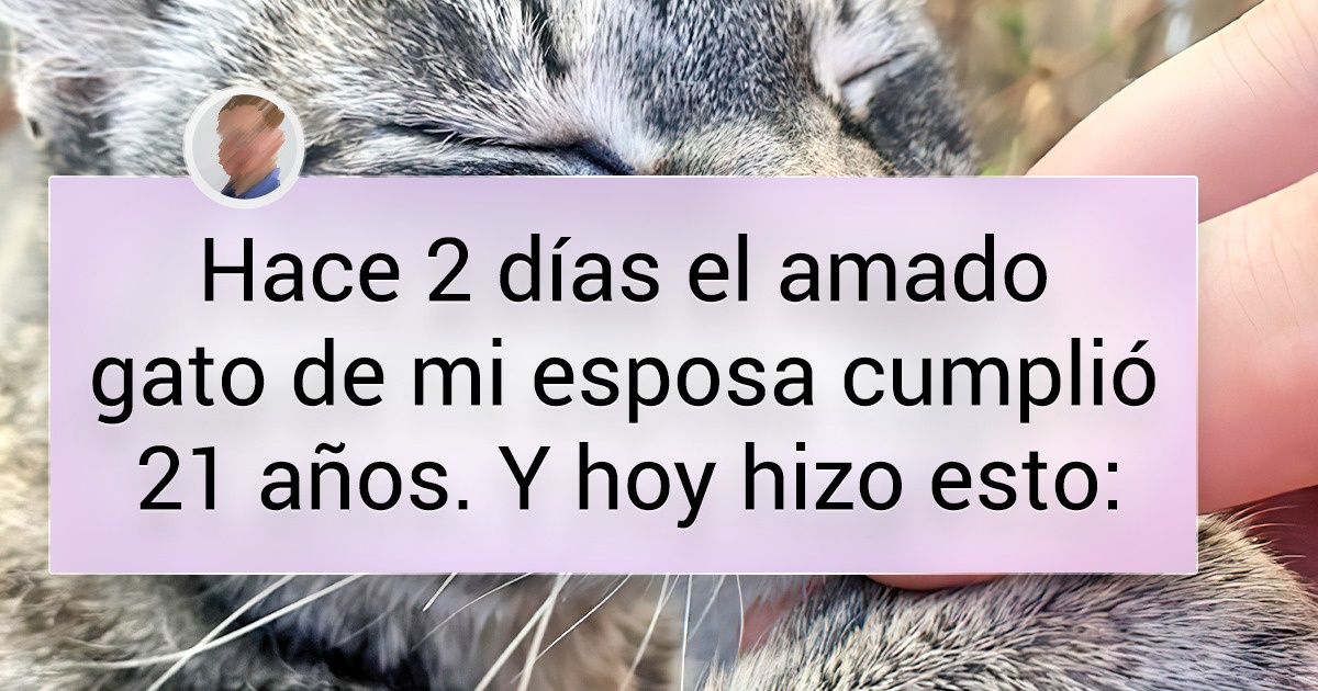 20+ Fotos con historias sobre mascotas amadas que llenarán tu corazón de calidez 20+ Fotos con historias sobre mascotas amadas que llenarán tu corazón de calidez