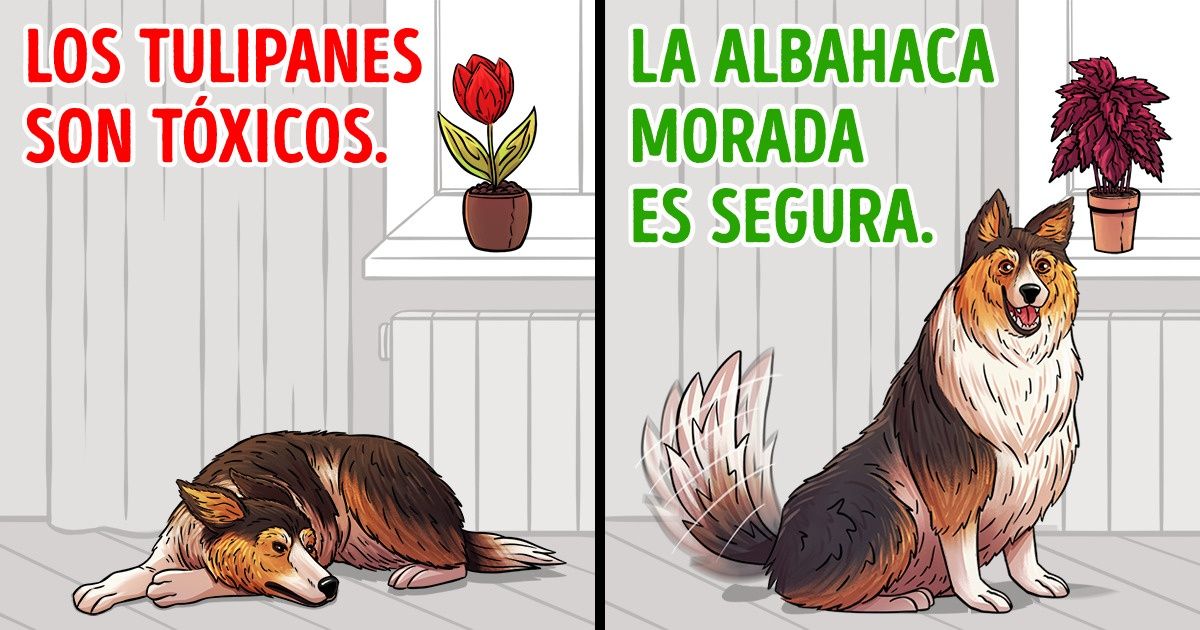 15 Plantas que debes evitar si tienes mascotas