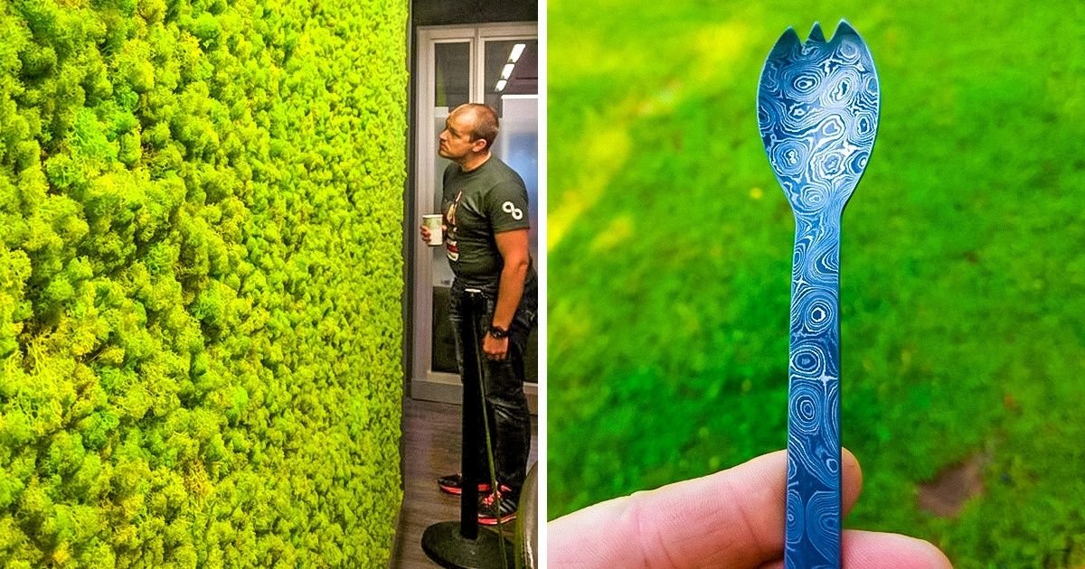 Usuarios de Internet encontraron cosas sorprendentes y decidieron compartir su exaltación con todo el mundo