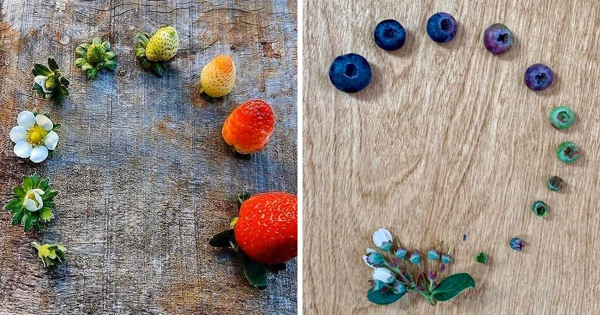 10+ Fotos del ciclo de la vida que prueban que todo en este mundo está en constante transformación