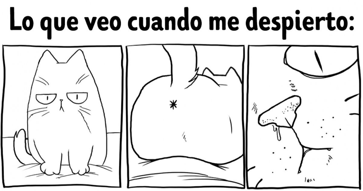 18 Cómics divertidos en los que cada dueño de un gato se reconocerá a sí mismo (y a su felino) 18 Cómics divertidos en los que cada dueño de un gato se reconocerá a sí mismo (y a su felino)