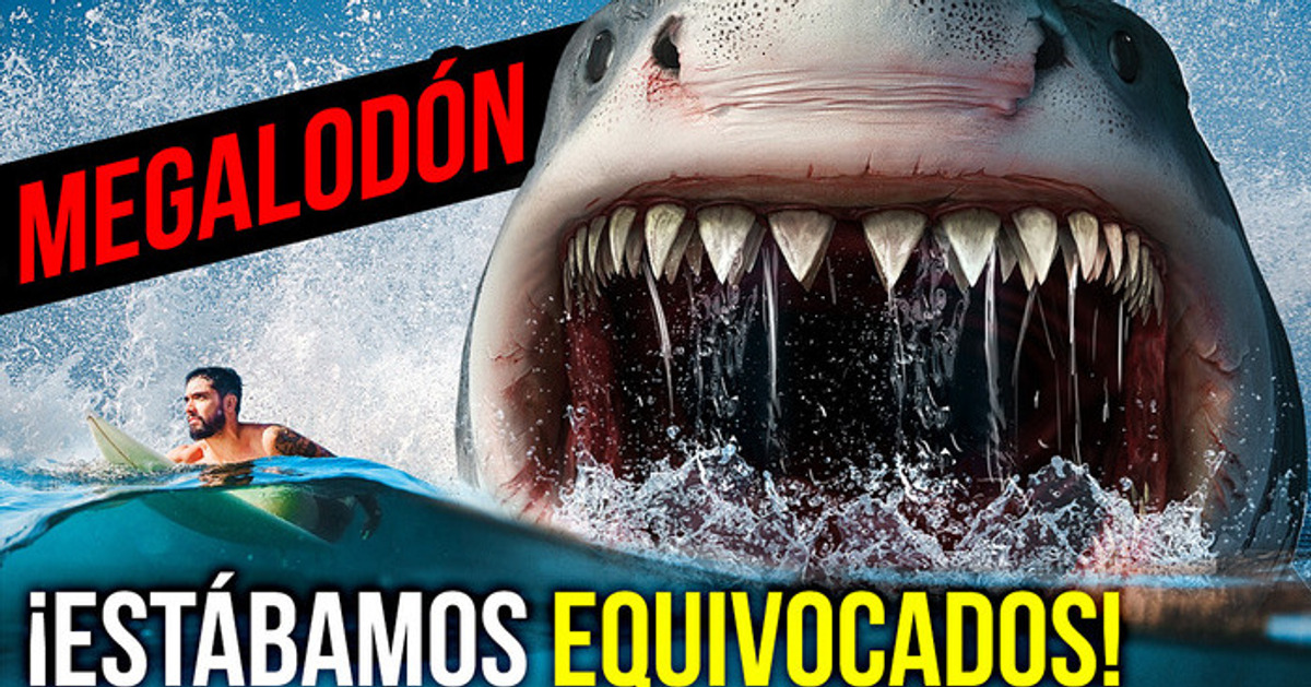 Todo lo que sabíamos sobre el megalodón no era cierto