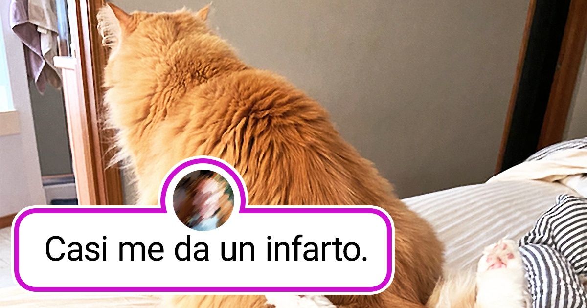 16 Fotos que nos hicieron pensar que era hora de visitar al oftalmólogo, hasta que las miramos más de cerca 16 Fotos que nos hicieron pensar que era hora de visitar al oftalmólogo, hasta que las miramos más de cerca