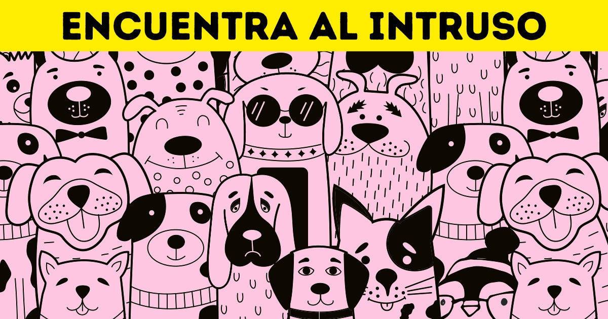 Test: Prueba tu agudeza visual buscando al pingüino infiltrado en 18 imágenes
