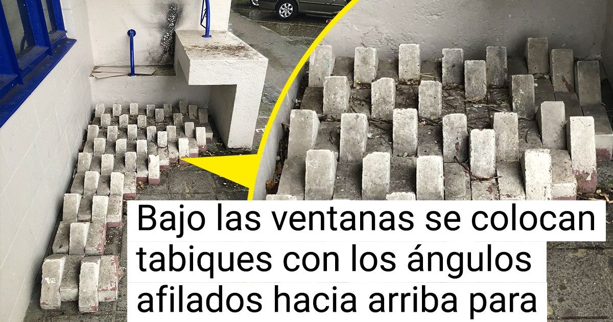 18 Peculiaridades de la vida en los Países Bajos que dejan perplejos a los visitantes en una fracción de segundo 18 Peculiaridades de la vida en los Países Bajos que dejan perplejos a los visitantes en una fracción de segundo