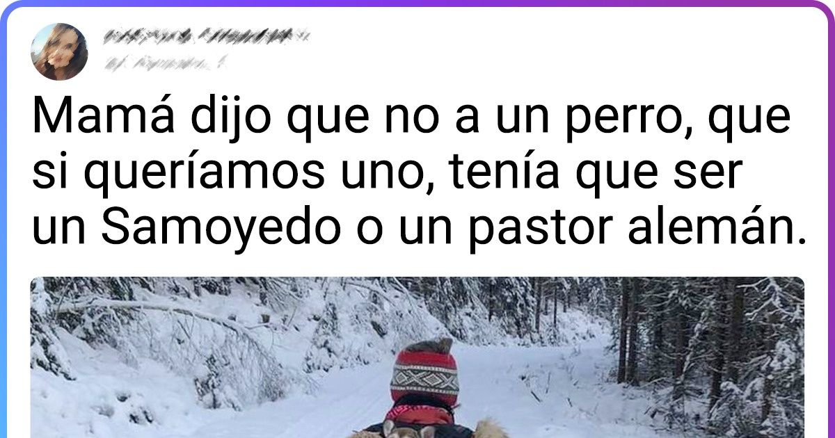 18 Veces en que los animalitos se ganaron el corazón de las madres que juraban que no querían mascotas en casa 18 Veces en que los animalitos se ganaron el corazón de las madres que juraban que no querían mascotas en casa