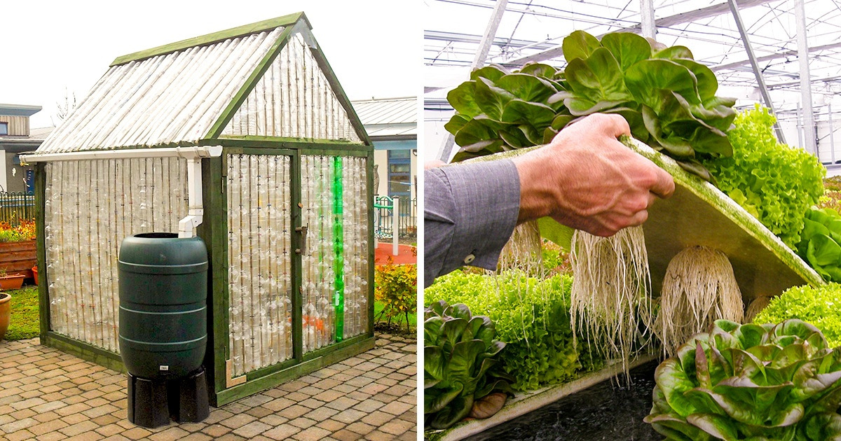 11 Consejos para ahorrar dinero y contribuir a salvar nuestro planeta