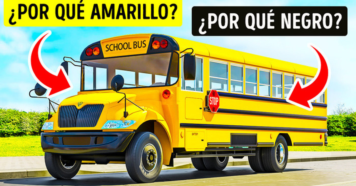 Es por esto por lo que los autobuses escolares son amarillos y negros