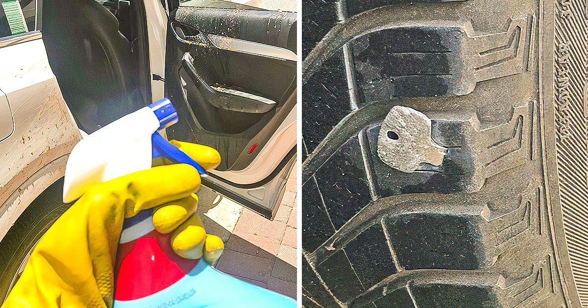15 Personas a las que su auto les regaló un día para recordar