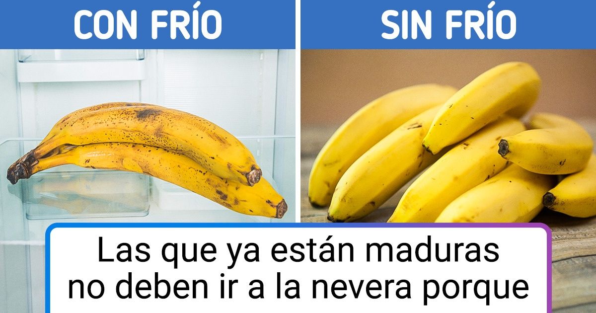 Por qué la fruta se pudre en casa y qué hábitos pueden cambiarse para alargarle la vida Por qué la fruta se pudre en casa y qué hábitos pueden cambiarse para alargarle la vida