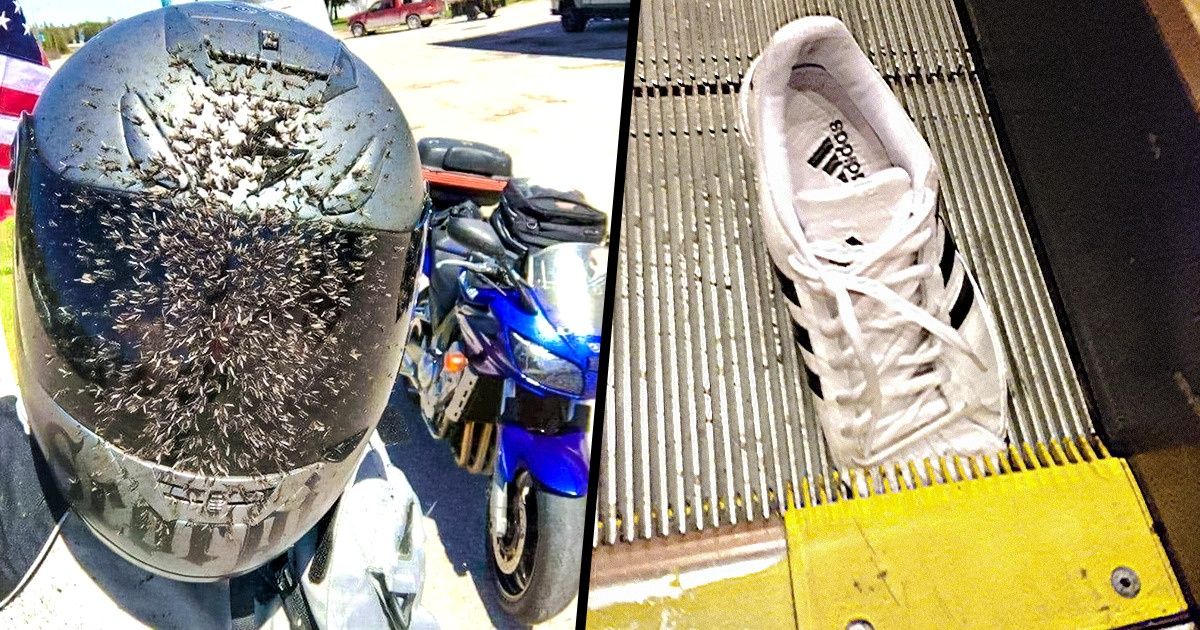 23 Fotografías que demuestran que la vida puede ser tan cruel como un mal chiste en una pésima película