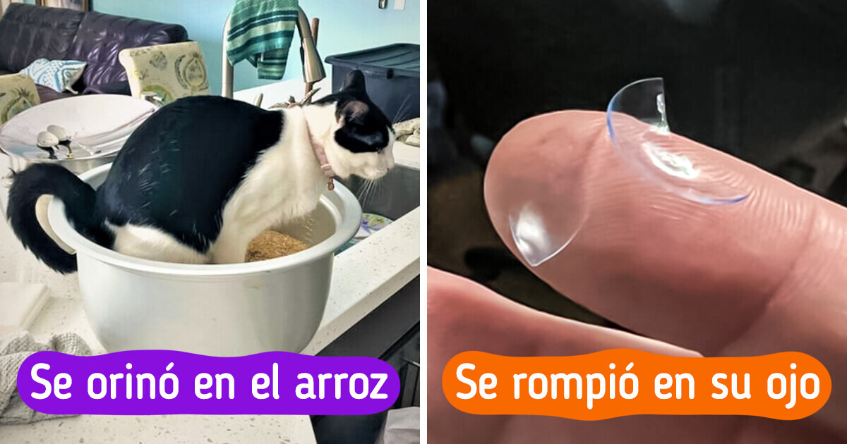 21 Personas que tuvieron un día como para querer arrancarse los pelos