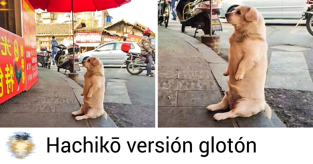 20+ Usuarios malvados sin los cuales Internet perdería su encanto