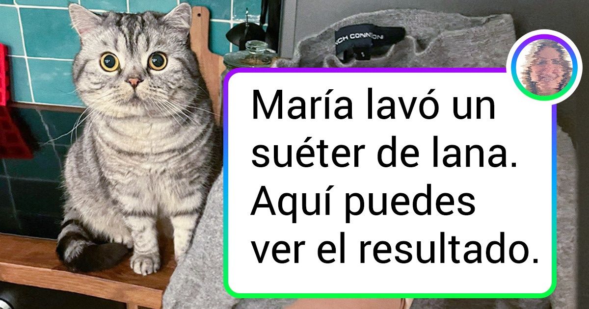 15 Personas que fallaron al realizar las tareas domésticas 15 Personas que fallaron al realizar las tareas domésticas